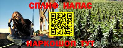 стаф Тверь