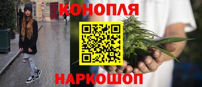 стаф Тверь