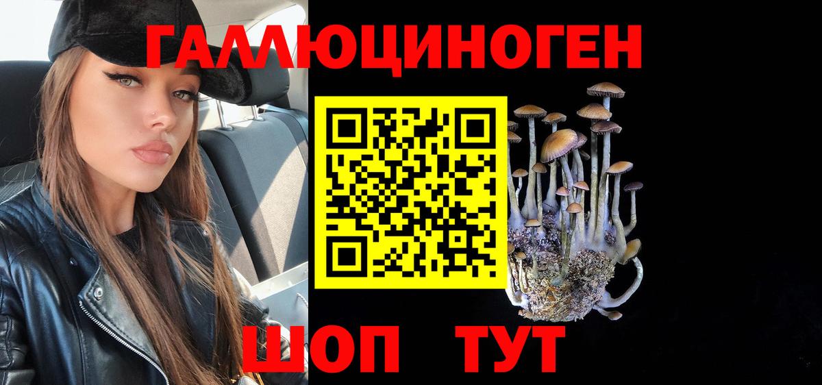 Осинники  Галлюциногенные грибы Magic Shrooms  Вход с VPN  Галлюциногенные грибы мухоморы 